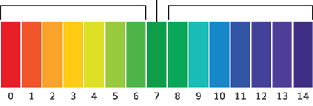 Факторы недостатка питательных веществ Факторы недостатка питательных веществ