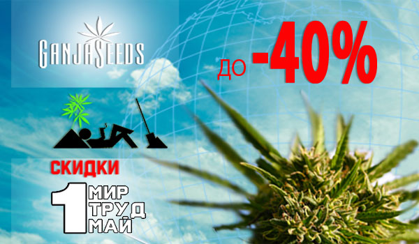 Майские праздники – время подарков Майские праздники – время подарков