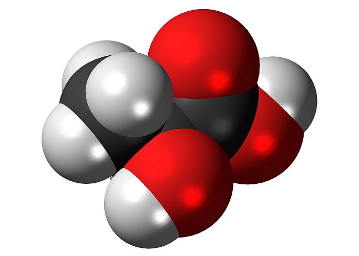 Безопасность применения молочнокислых бактерий Безопасность применения молочнокислых бактерий
