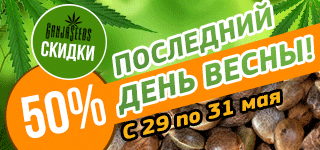 Скилки на семена конопли Скилки на семена конопли