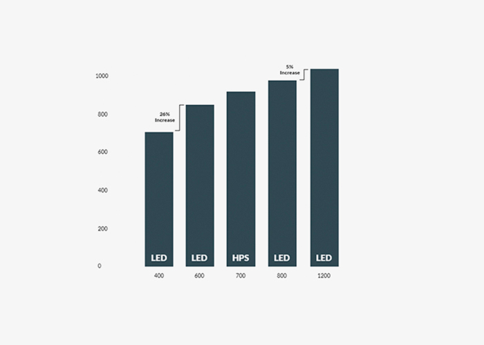 Вес зеленой массы Вес зеленой массы