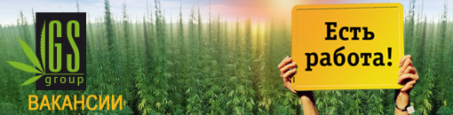 работа работа