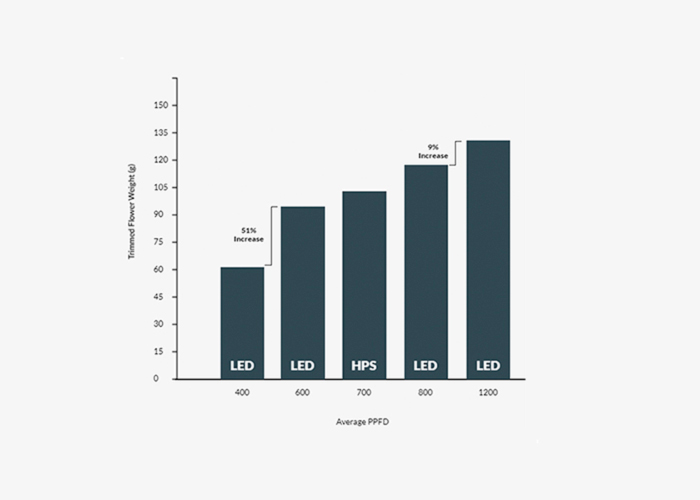 Вес подстриженных бутонов Вес подстриженных бутонов