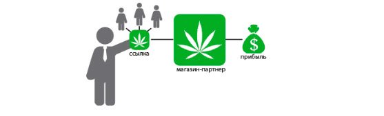 Сотрудничество с GanjaLiveSeeds Сотрудничество с GanjaLiveSeeds