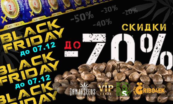 Еще неделя Черной Пятницы - до 70% скидки! Еще неделя Черной Пятницы - до 70% скидки!