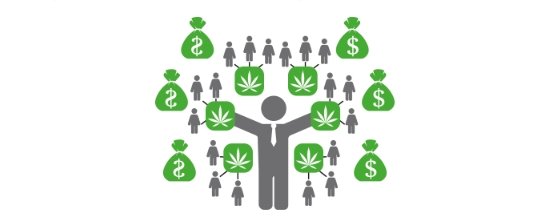 Сотрудничество с GanjaLiveSeeds Сотрудничество с GanjaLiveSeeds