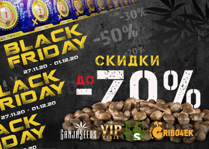 Black Friday от GanjaSeeds Black Friday от GanjaSeeds