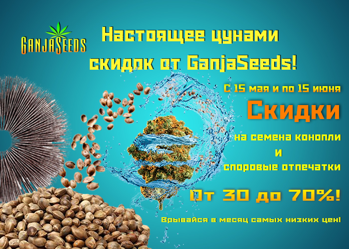 Цунами летних скидок до 70%! Цунами летних скидок до 70%!