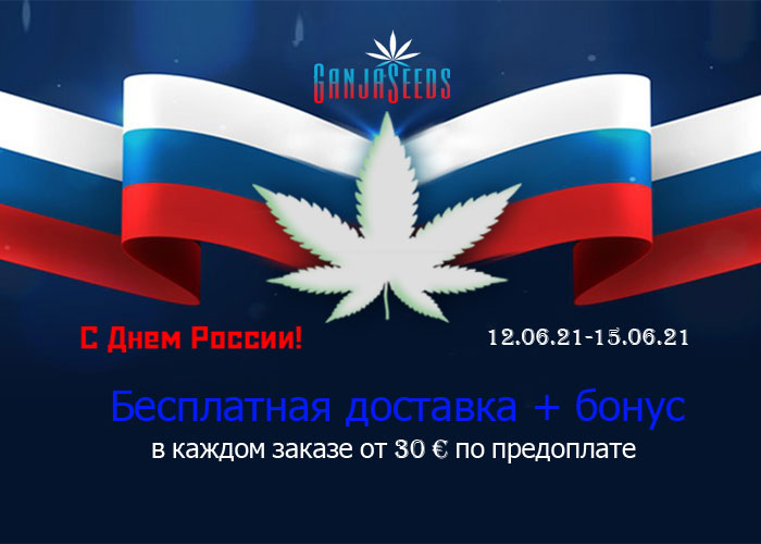 Празднуем День России вместе с GanjaSeeds Празднуем День России вместе с GanjaSeeds
