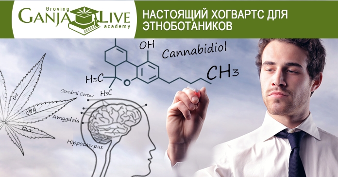 Академия гроверов объявляет о начале первого учебного семестра Академия гроверов объявляет о начале первого учебного семестра
