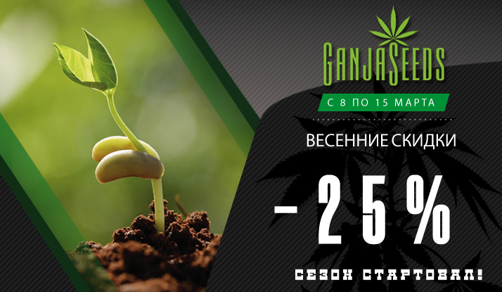 Весенняя неделя распродажи! Скидки 25% на семена конопли Весенняя неделя распродажи! Скидки 25% на семена конопли