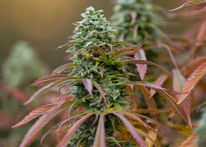 Кондиционирование и вентиляция Кондиционирование и вентиляция