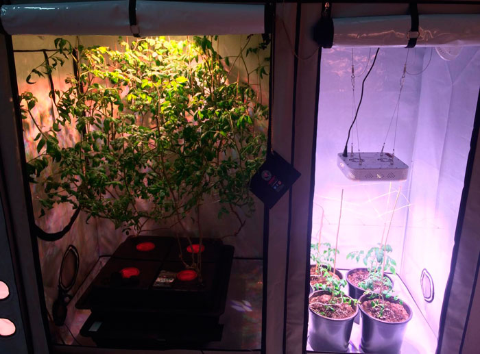 Корпус Корпус