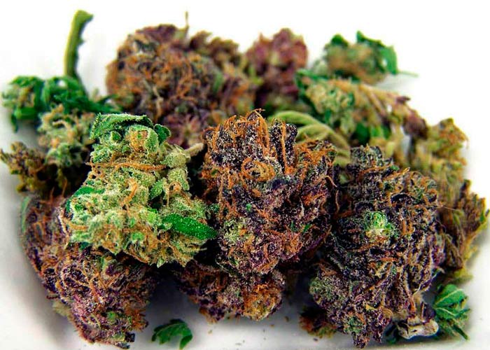 Два основных способа пролечки марихуаны Два основных способа пролечки марихуаны