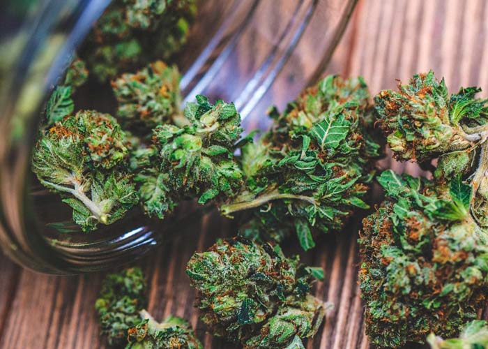 Два основных способа пролечки марихуаны Два основных способа пролечки марихуаны