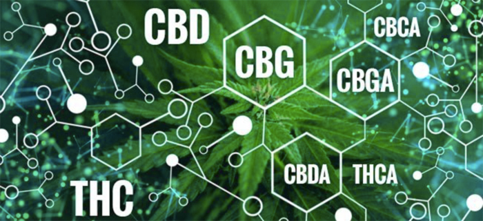 Подробно о КБГ Подробно о КБГ