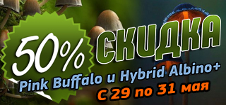 Скидки на споры грибов Скидки на споры грибов