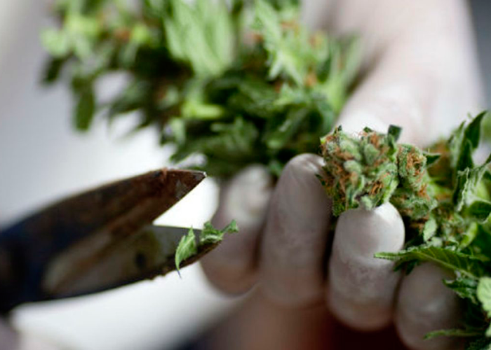 Стрижка Стрижка