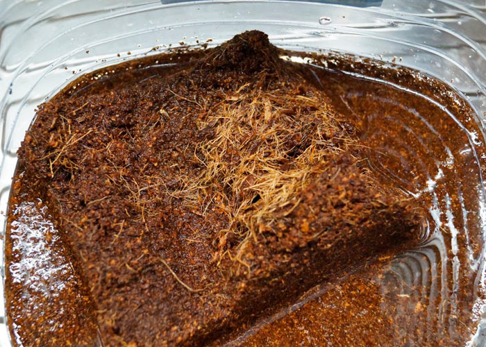 О положительных моментах и незначительных минусах О положительных моментах и незначительных минусах