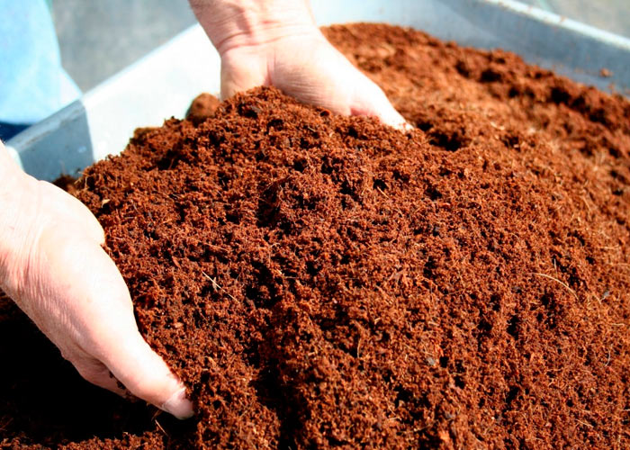 Секреты подготовки кокоса Секреты подготовки кокоса