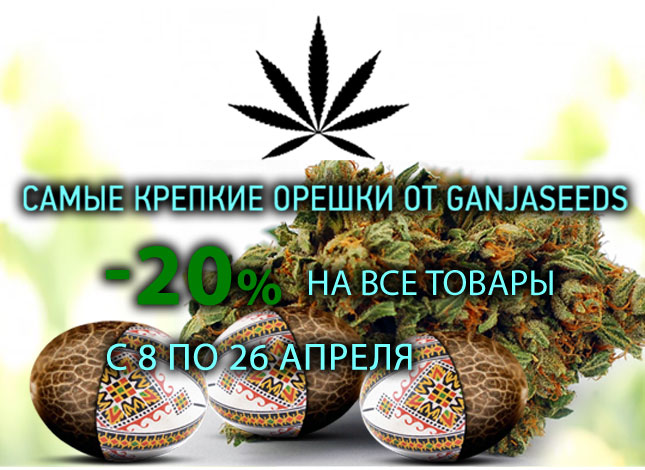 GanjaSeeds: Апрель – время выгодных покупок GanjaSeeds: Апрель – время выгодных покупок