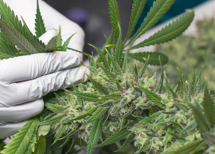 Об уникальном методе в двух словах Об уникальном методе в двух словах