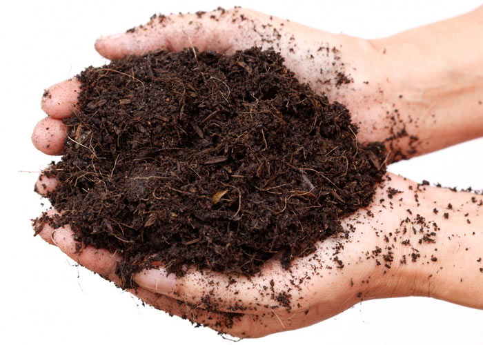 Правила полива Правила полива