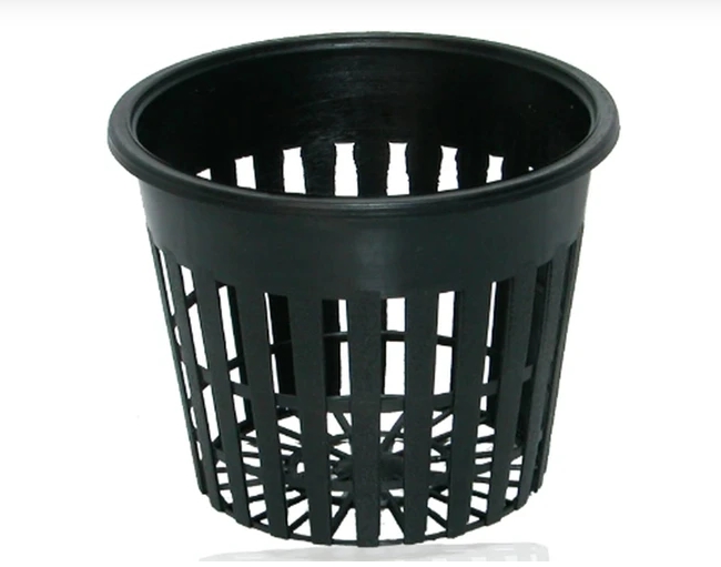 корни могут вырасти за пределы корзины корни могут вырасти за пределы корзины