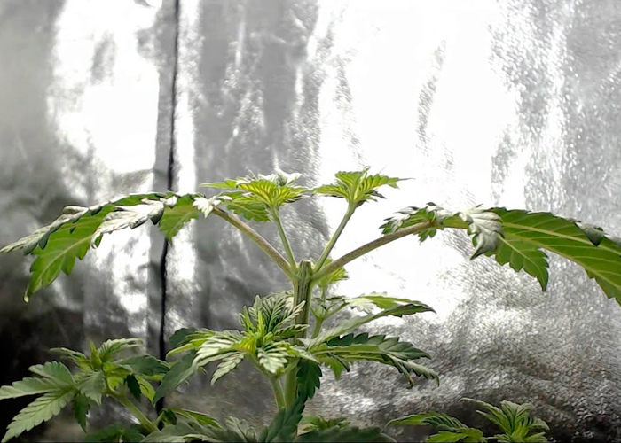 Зачем делать обрезку Зачем делать обрезку