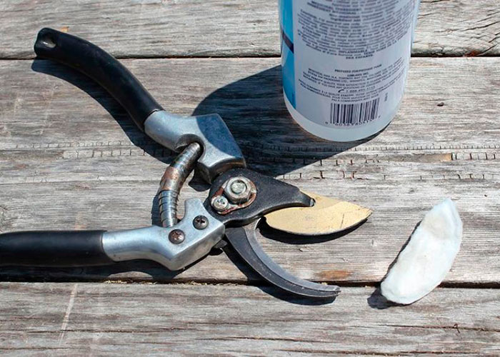 Обеспечьте надлежащую стерилизацию инструментов Обеспечьте надлежащую стерилизацию инструментов