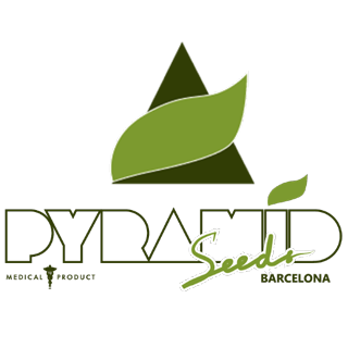 Pyramid Seeds