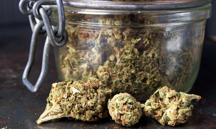 Ферментация марихуаны Ферментация марихуаны