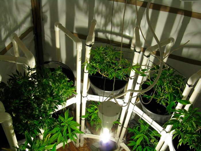 Вертикальный гров Вертикальный гров