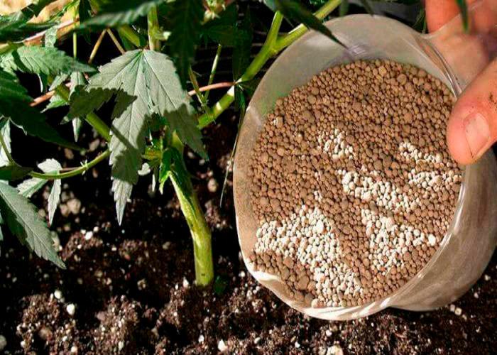 Когда можно вносить удобрения Когда можно вносить удобрения