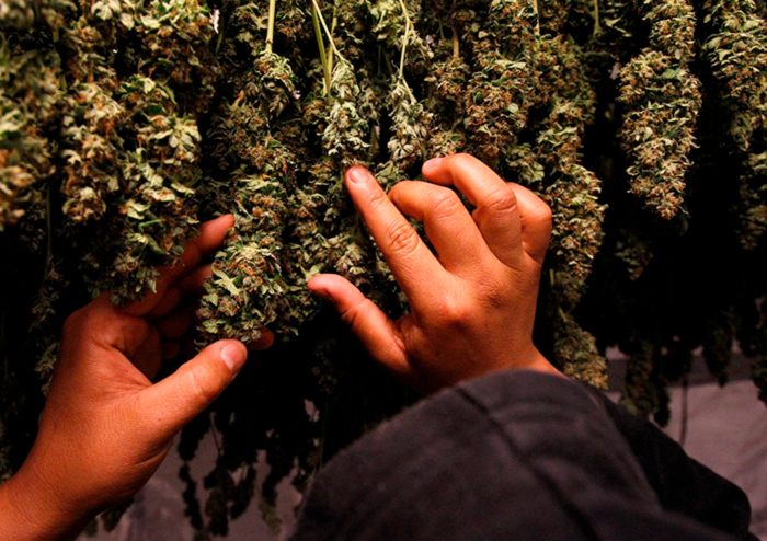 Быстрая пролечка Быстрая пролечка