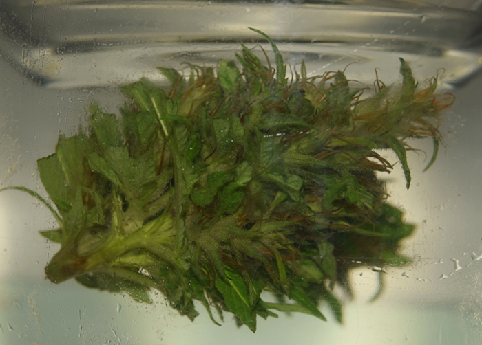 Водная пролечка Водная пролечка