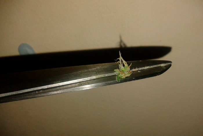 Back-Building Back-Building