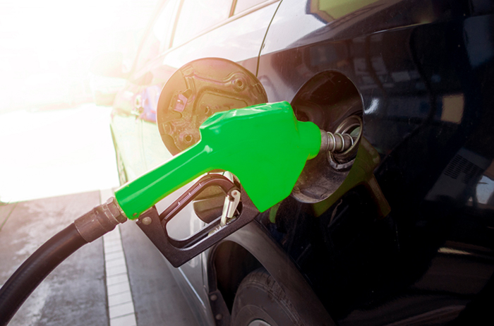 Биологическое топливо из конопли Биологическое топливо из конопли