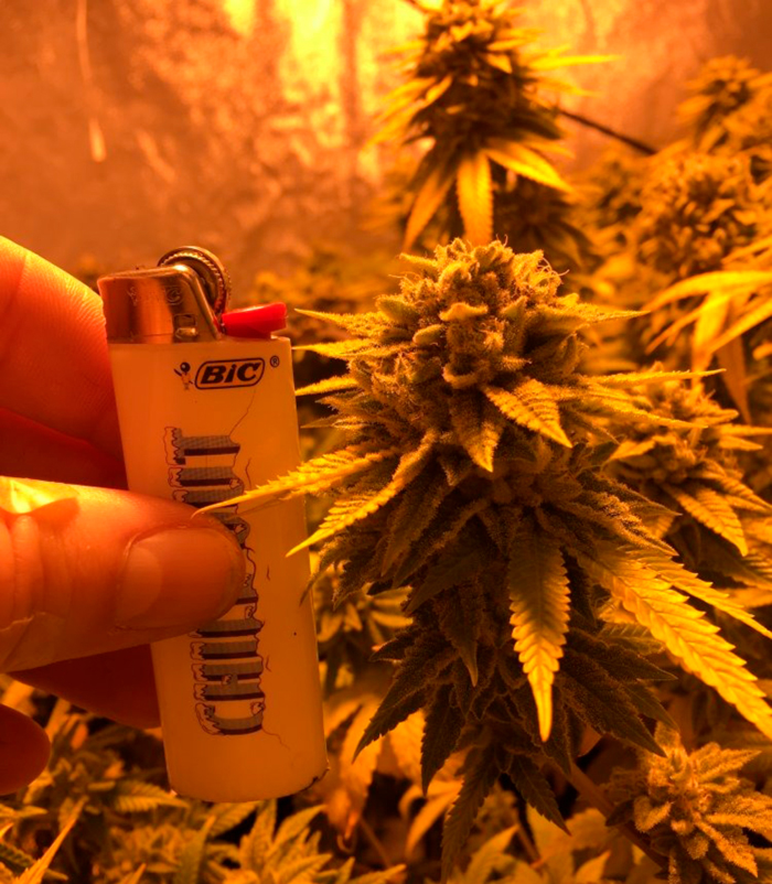 Back-Building Back-Building