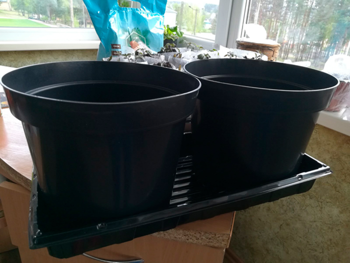 Выбор подходящего блюдца или поддона Выбор подходящего блюдца или поддона