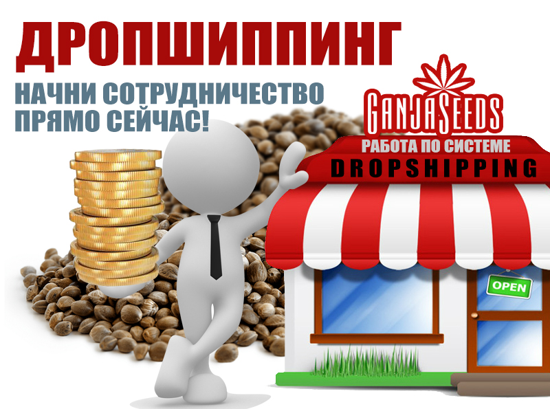 Дропшиппинг Дропшиппинг