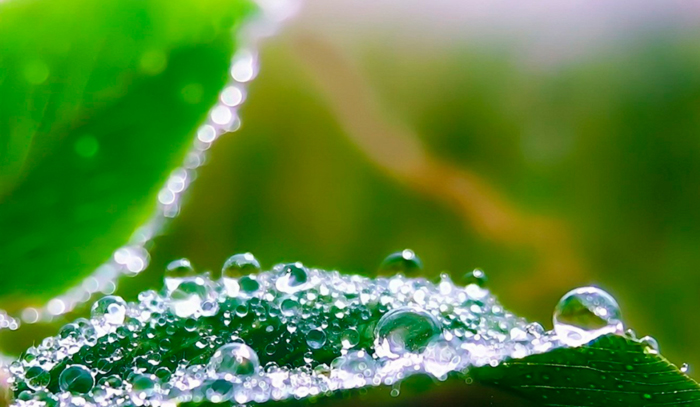 Как поддерживать влажность в боксе Как поддерживать влажность в боксе