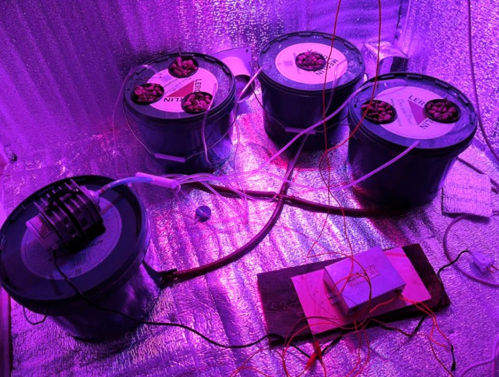 Тонкости обслуживания гидропонной системы Тонкости обслуживания гидропонной системы