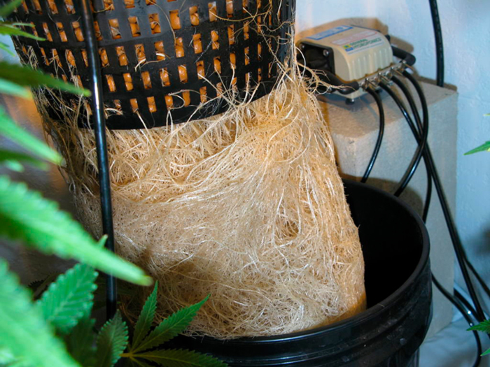 Разновидности гидропоники Разновидности гидропоники