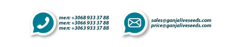 Контакты Контакты