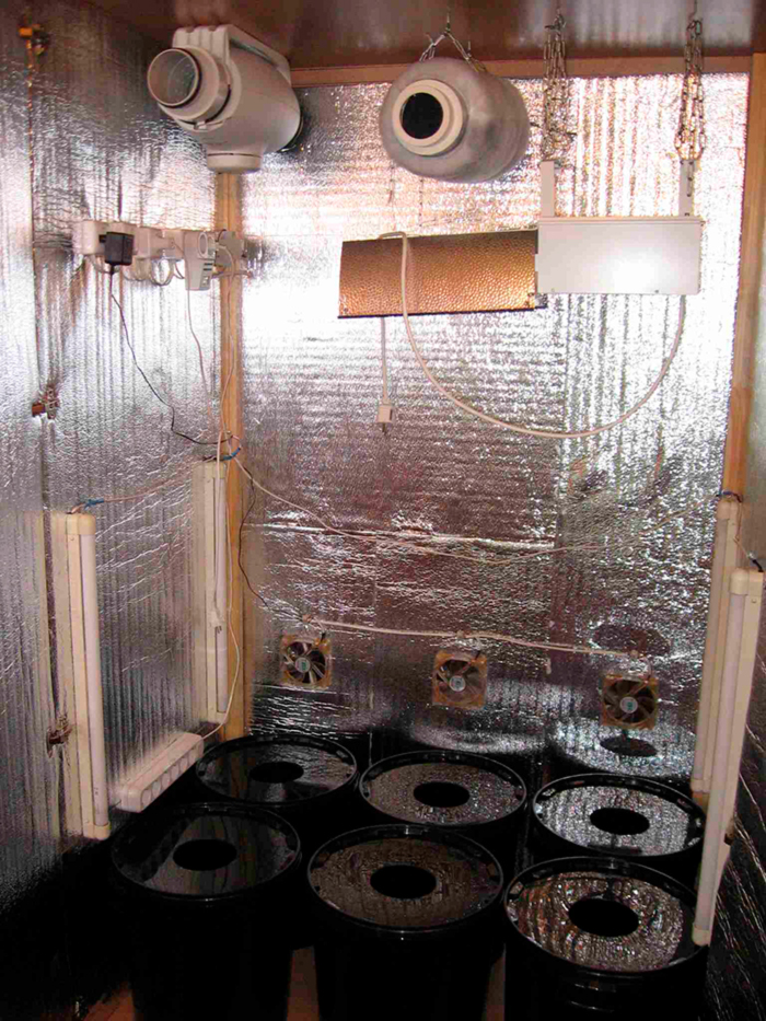 Что такое гроубокс Что такое гроубокс