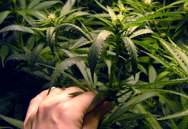 Перелив Перелив