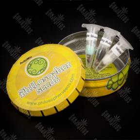 Auto Mix feminised Philosopher Seeds
