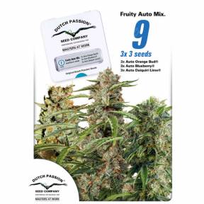 Autoflower Fruity Mix feminised Dutch Passion Seeds