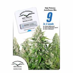 Autoflower High Potency Mix feminised Dutch Passion Seeds